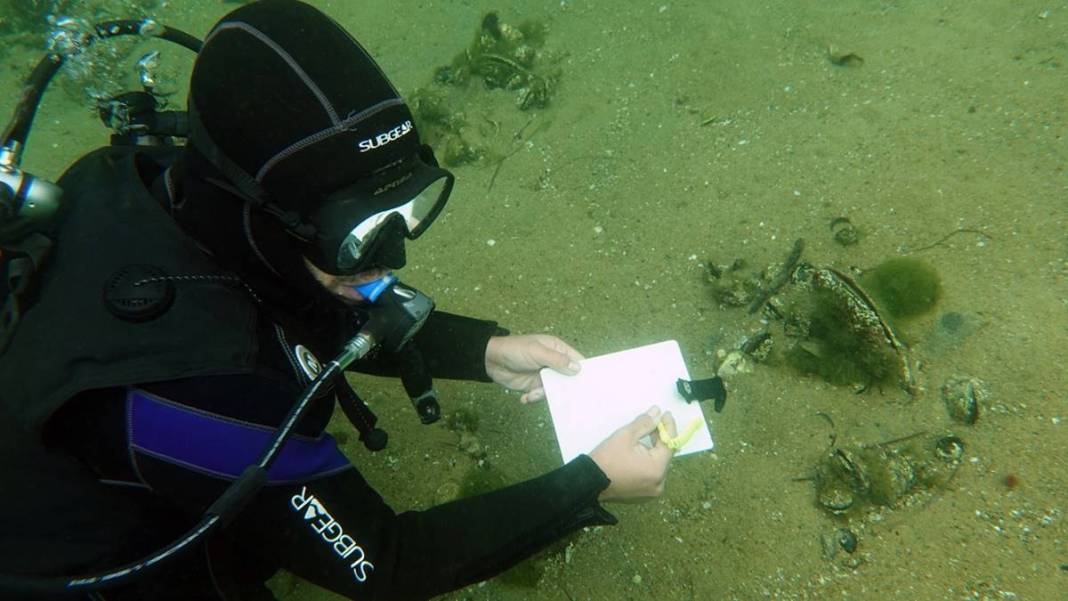 Marmara Denizi'nin son umuduydu: Cesetleri karaya vurdu! Uzmanlar endişeli, ekosistem tehlikede 9
